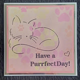 Cat stencil bundle