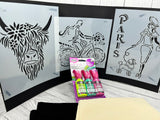 Bright fabric paint and stencils kit