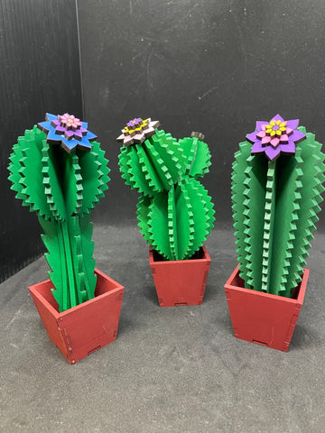 Cactus set2 / Cacti set2