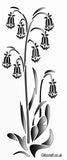 Bluebells Stencil size DL